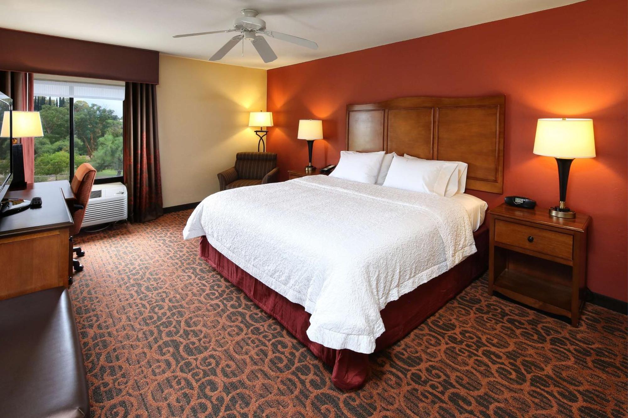 Hampton Inn & Suites Tucson Mall Casas Adobes Buitenkant foto